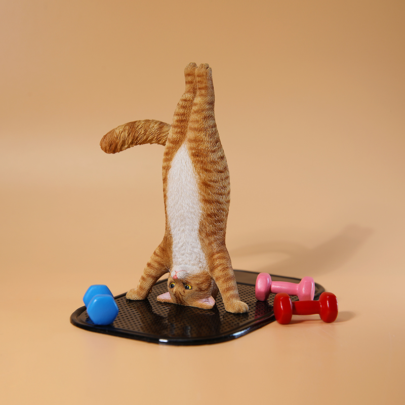 1/6 Ölçekli Mini Simüle Fitnes - Yoga Fitness Tva incelemesi ve fiyatı
